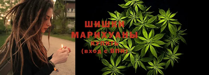 Марихуана планчик  где купить   Большой Камень 